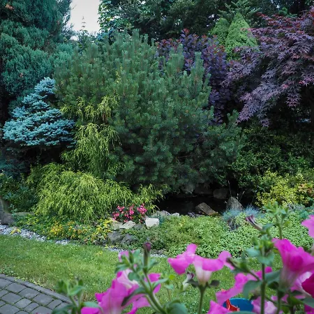 Swietego Wita * Żywiec