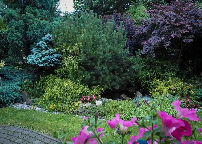 Swietego Wita * Żywiec