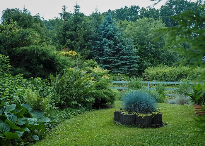 דירה Swietego Wita *